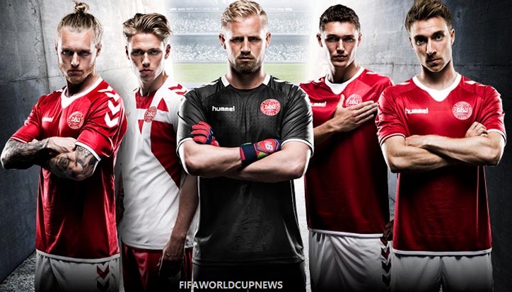 Denmark World Cup squad Players Image