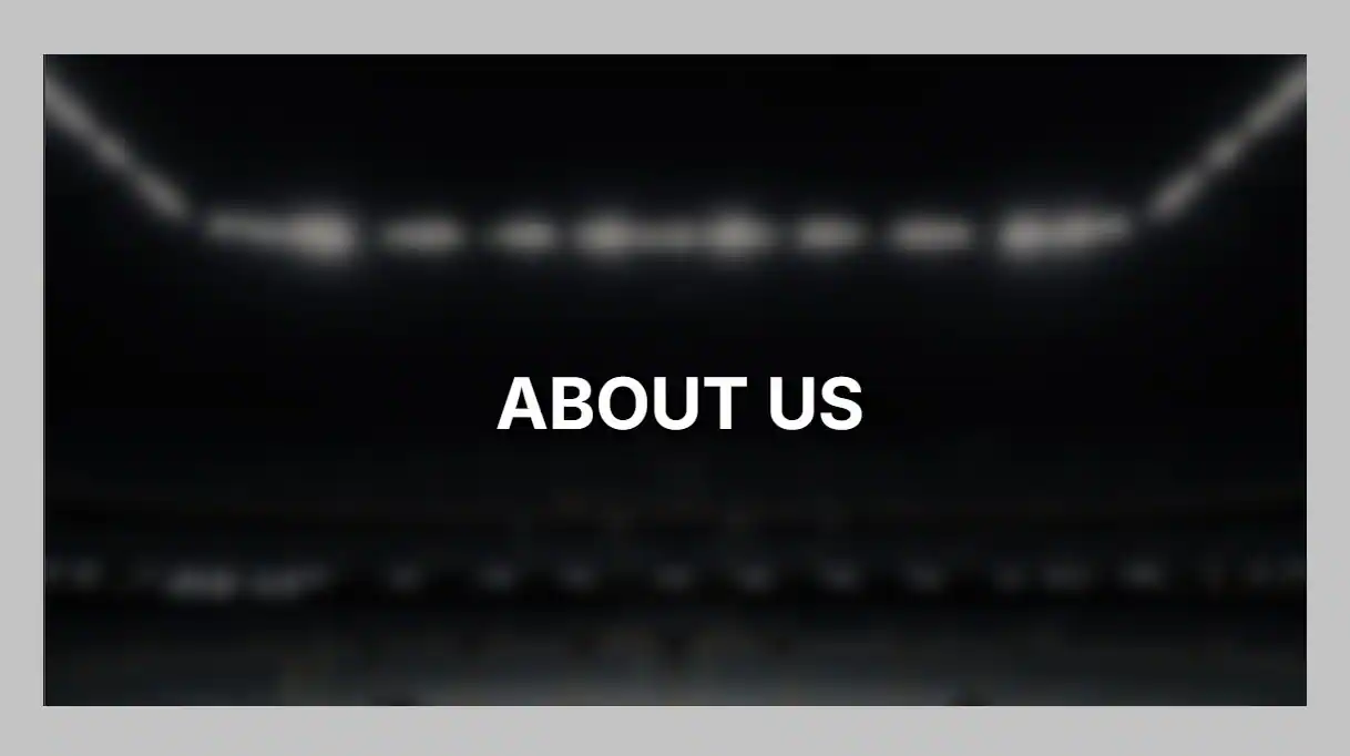 About US FIFA World Cup News