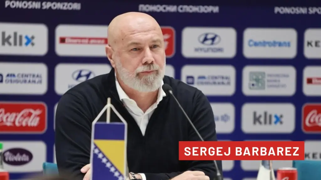 Sergej Barbarez - Bosnia and Herzegovina manager